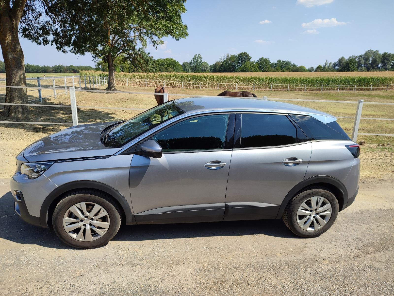 Peugeot 3008 1,5 BlueHDI, reg.8/2027, automatik 8, fotografija 5