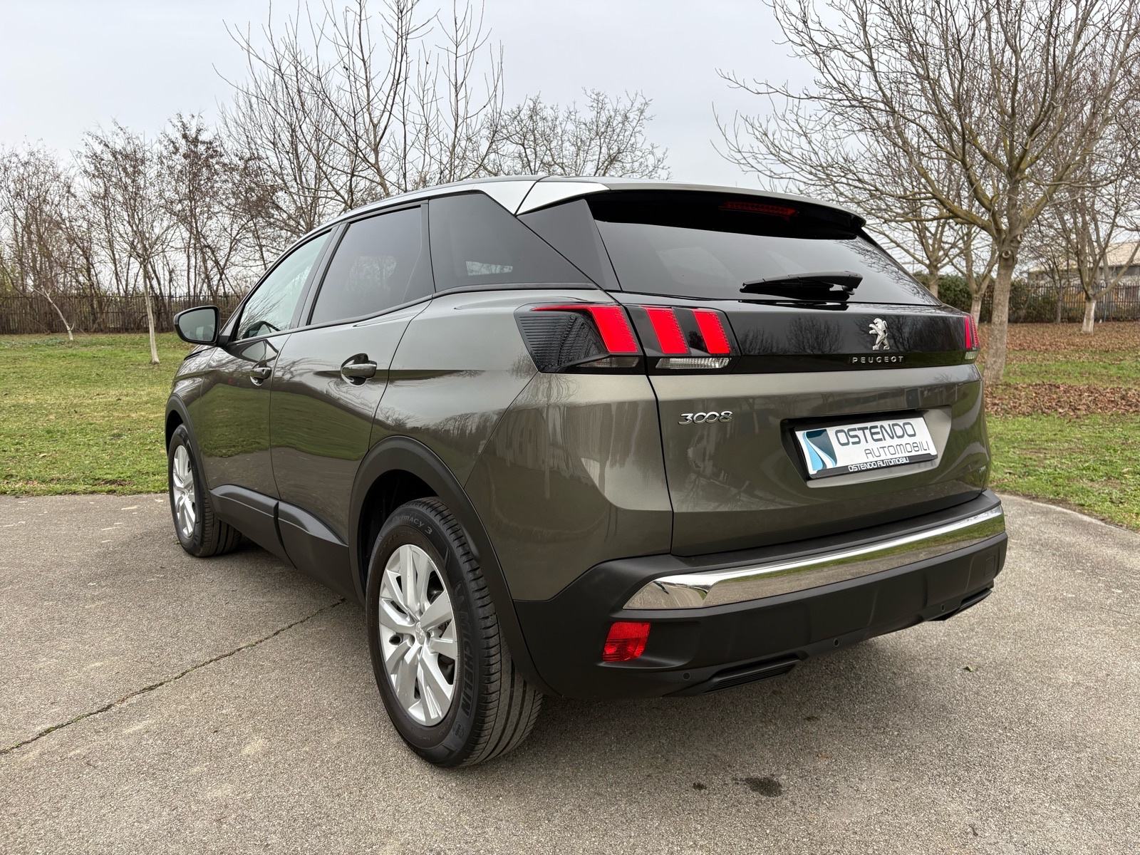 Peugeot 3008 1,5 HDI Active, fotografija 3