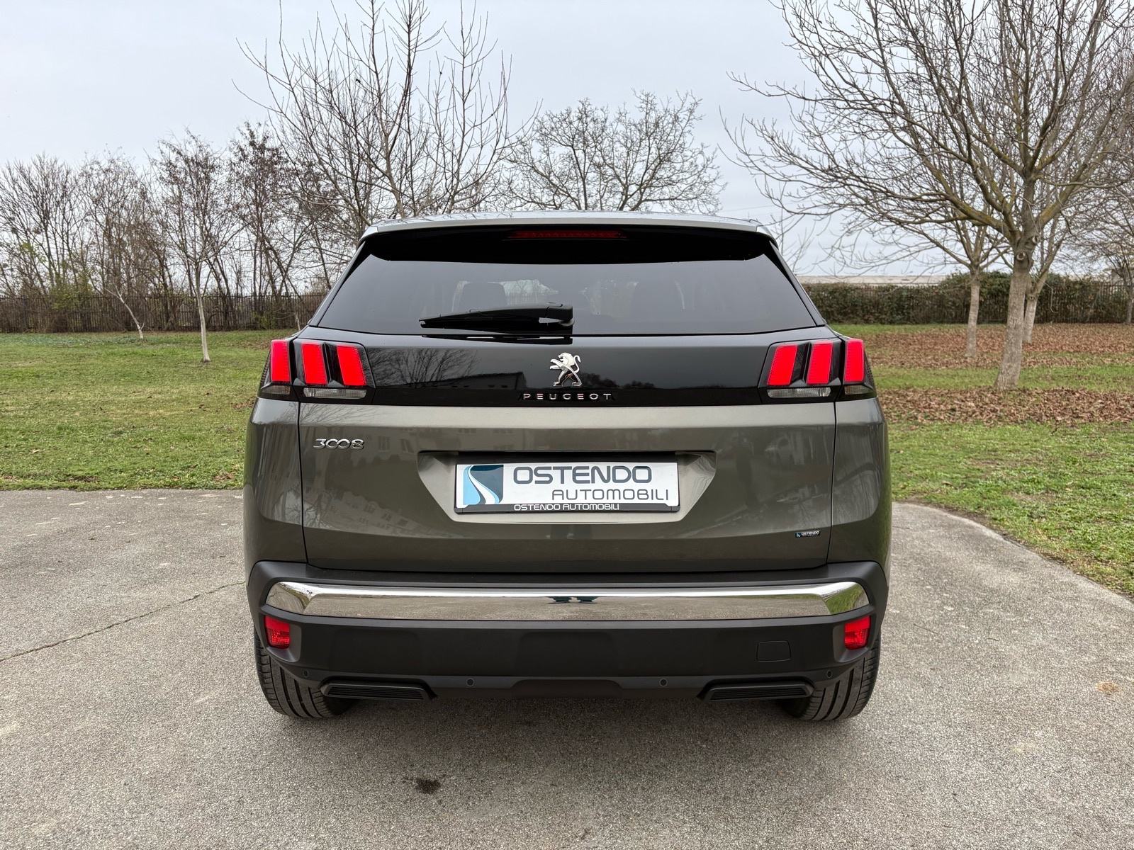 Peugeot 3008 1,5 HDI Active, fotografija 4