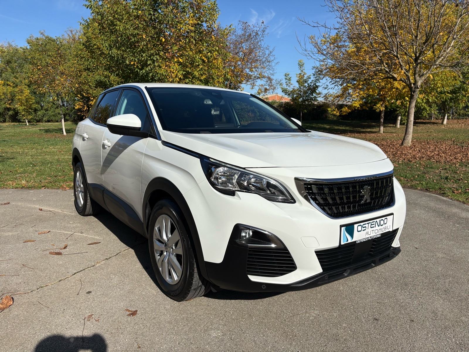 Peugeot 3008 1,5 HDI Active, fotografija 7