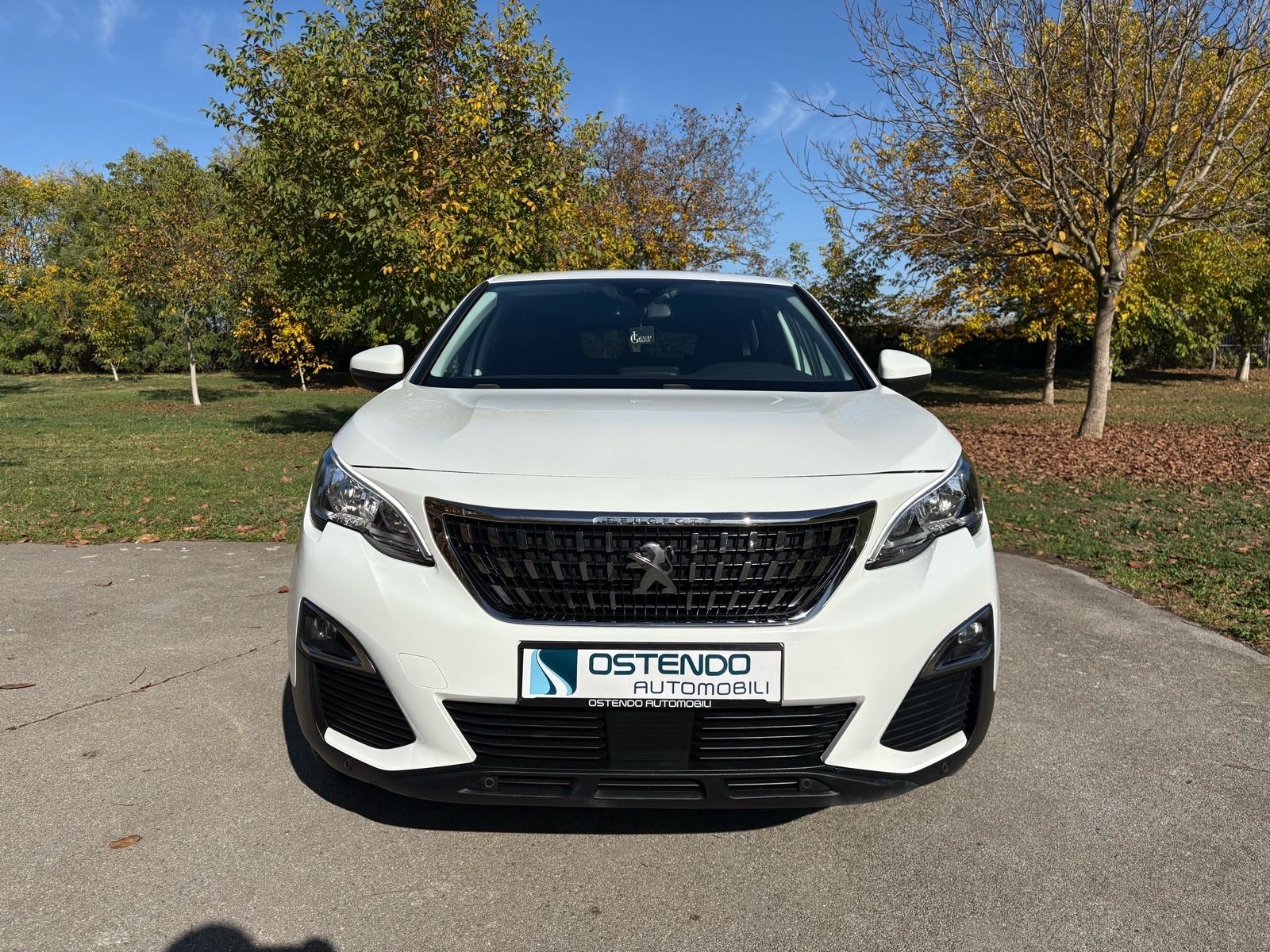 Peugeot 3008 1,5 HDI Active, fotografija 8