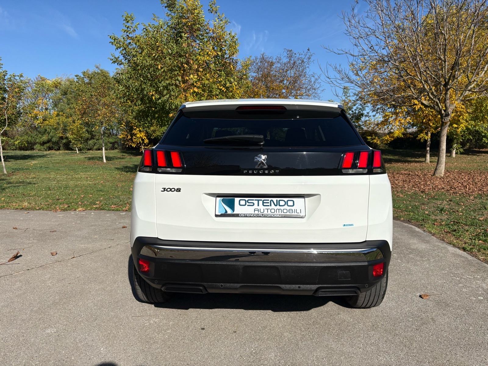 Peugeot 3008 1,5 HDI Active, fotografija 4