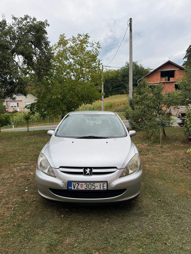 Peugeot 307 1,6 16V XS, pogled izvana - slika 1