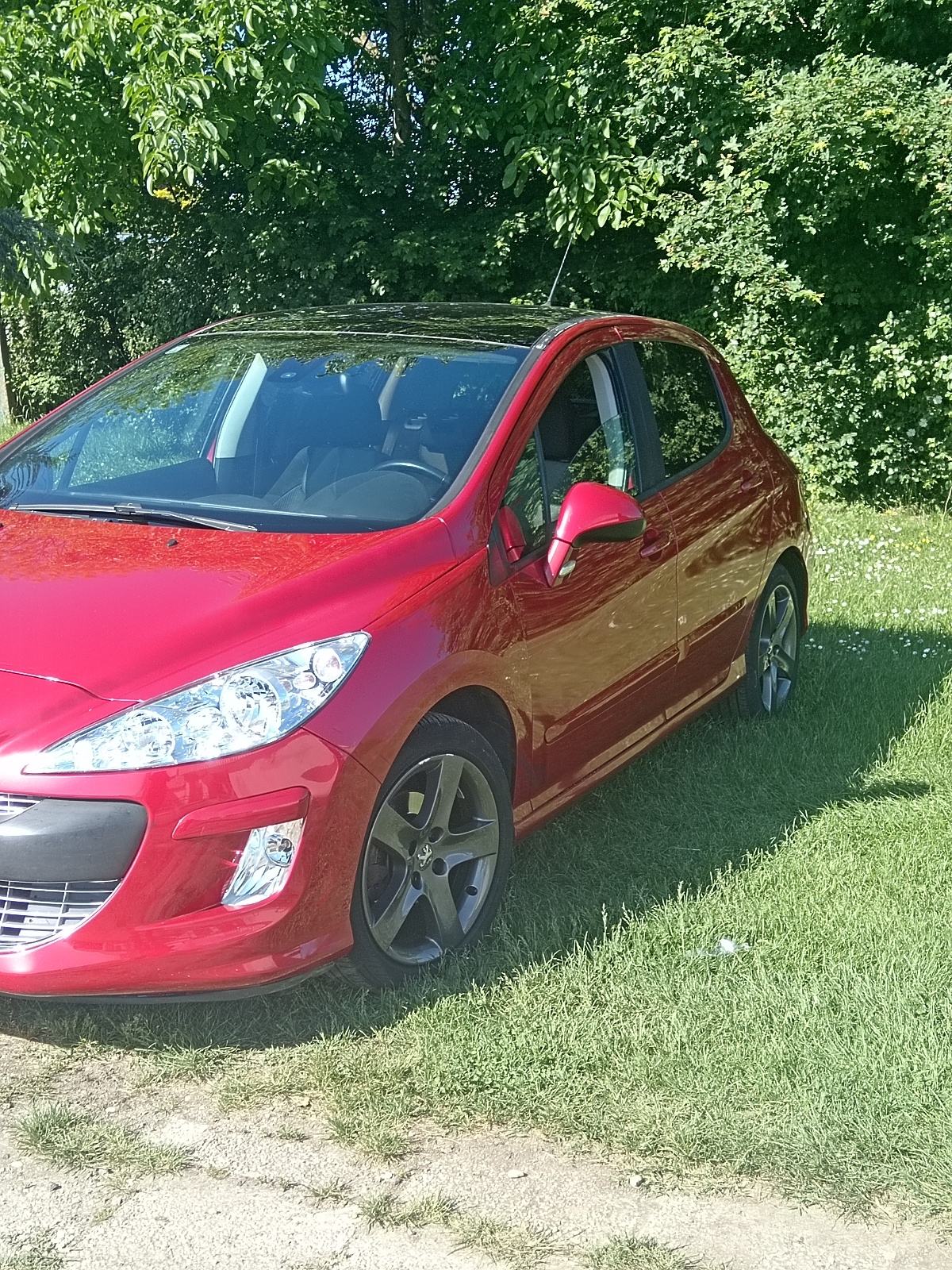 Peugeot 308 1,6 HDi 2008 god, fotografija 11