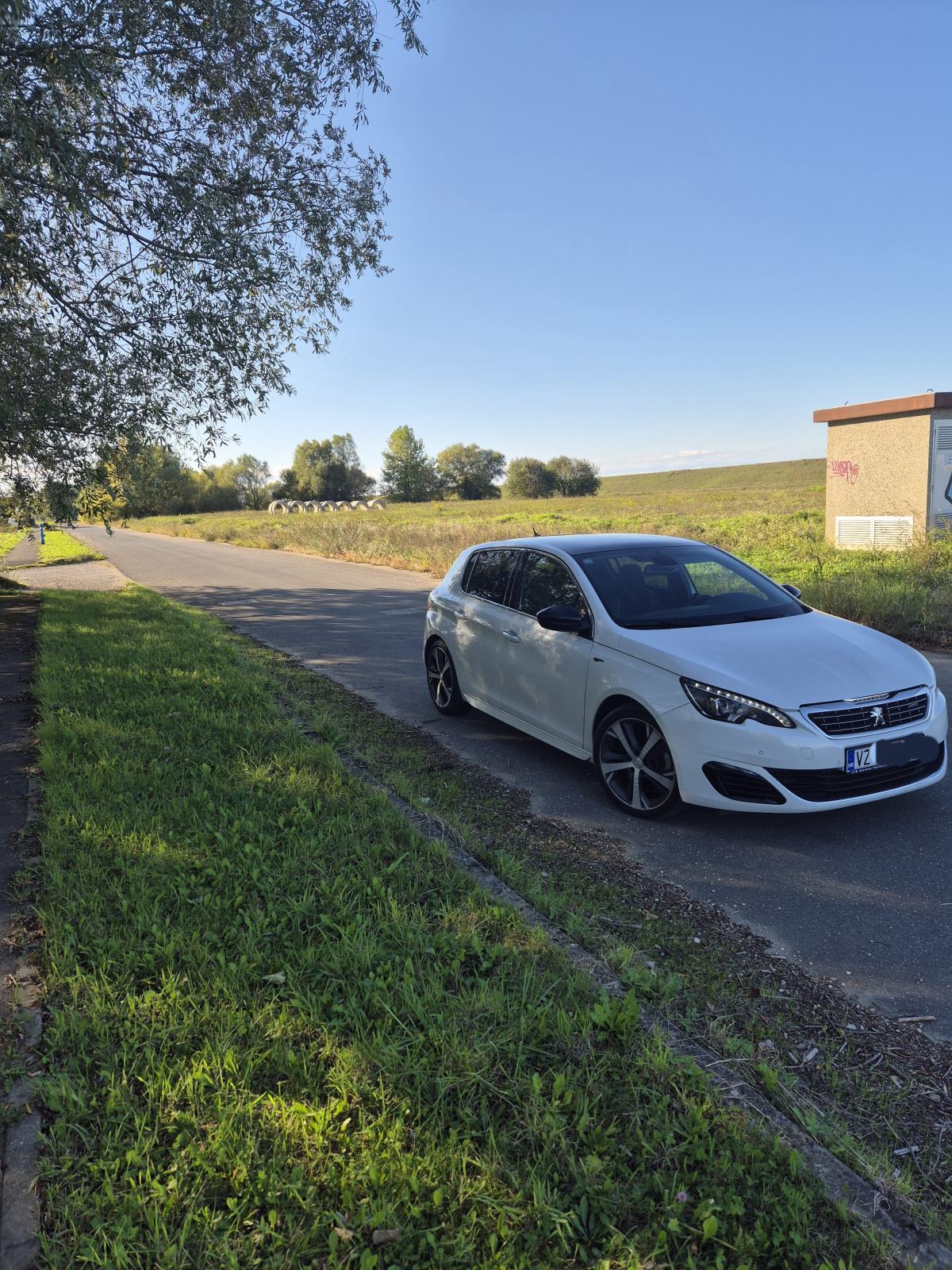 Peugeot 308 2.0 GT, fotografija 7