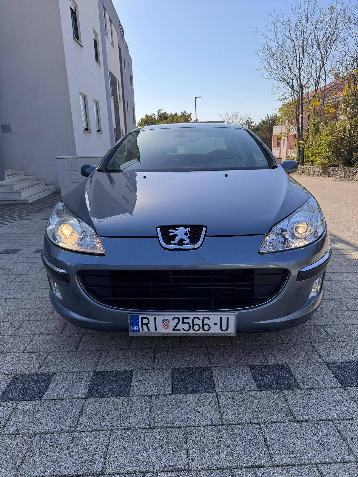 Peugeot 407 2,0 HDi 16V, pogled izvana - slika 1