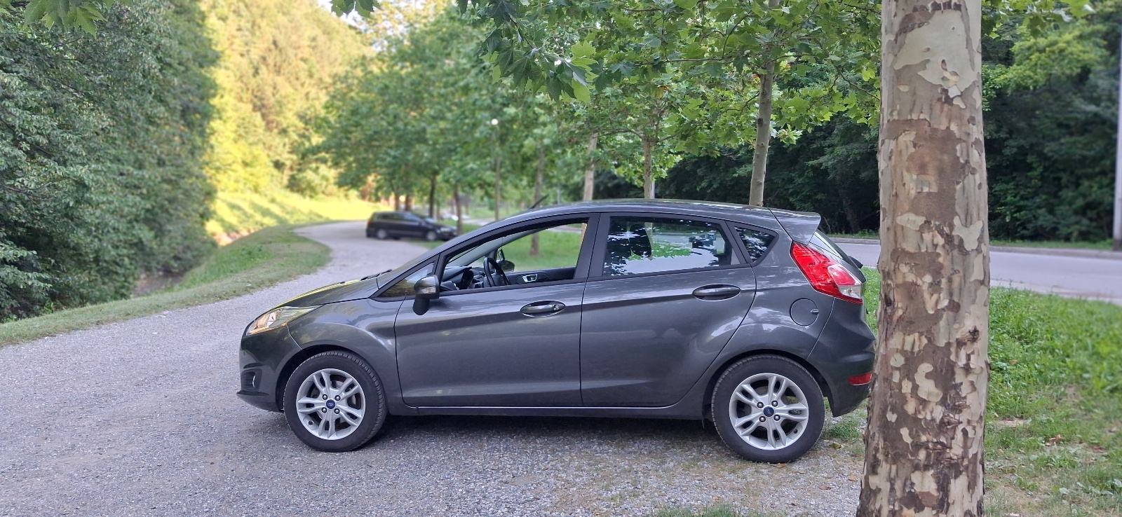 Prodajem Ford Fistu 2016. godište, fotografija 2