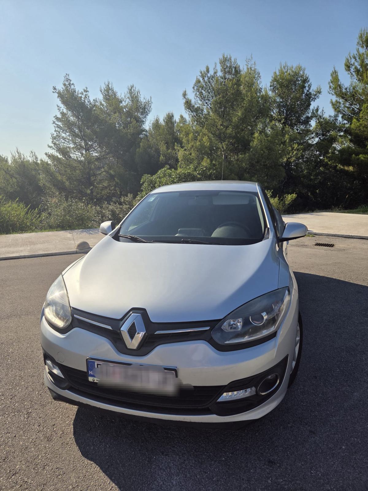 Renault Megane dCi 95, pogled izvana - slika 1