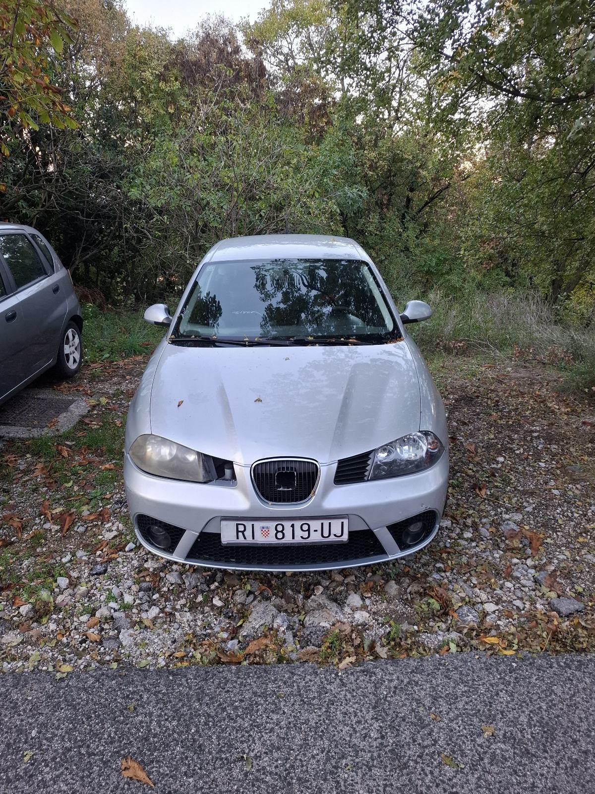 Seat Ibiza 1,4 TDI, fotografija 1