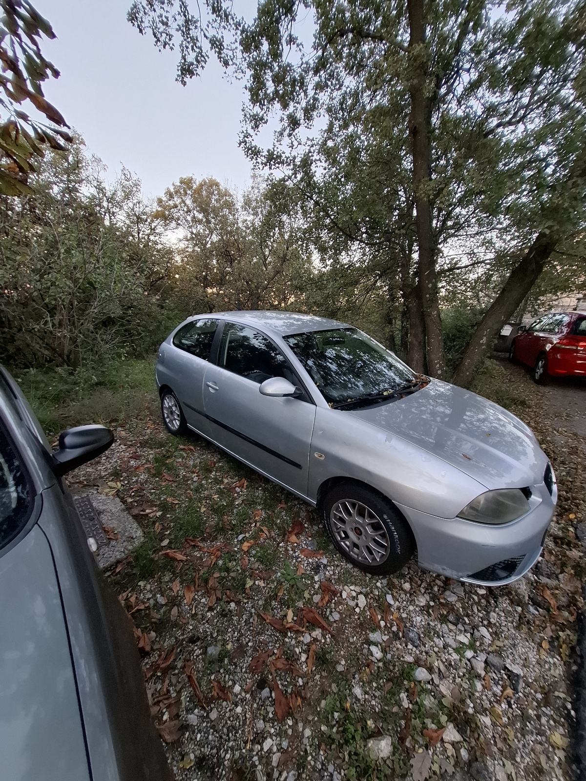 Seat Ibiza 1,4 TDI, fotografija 3