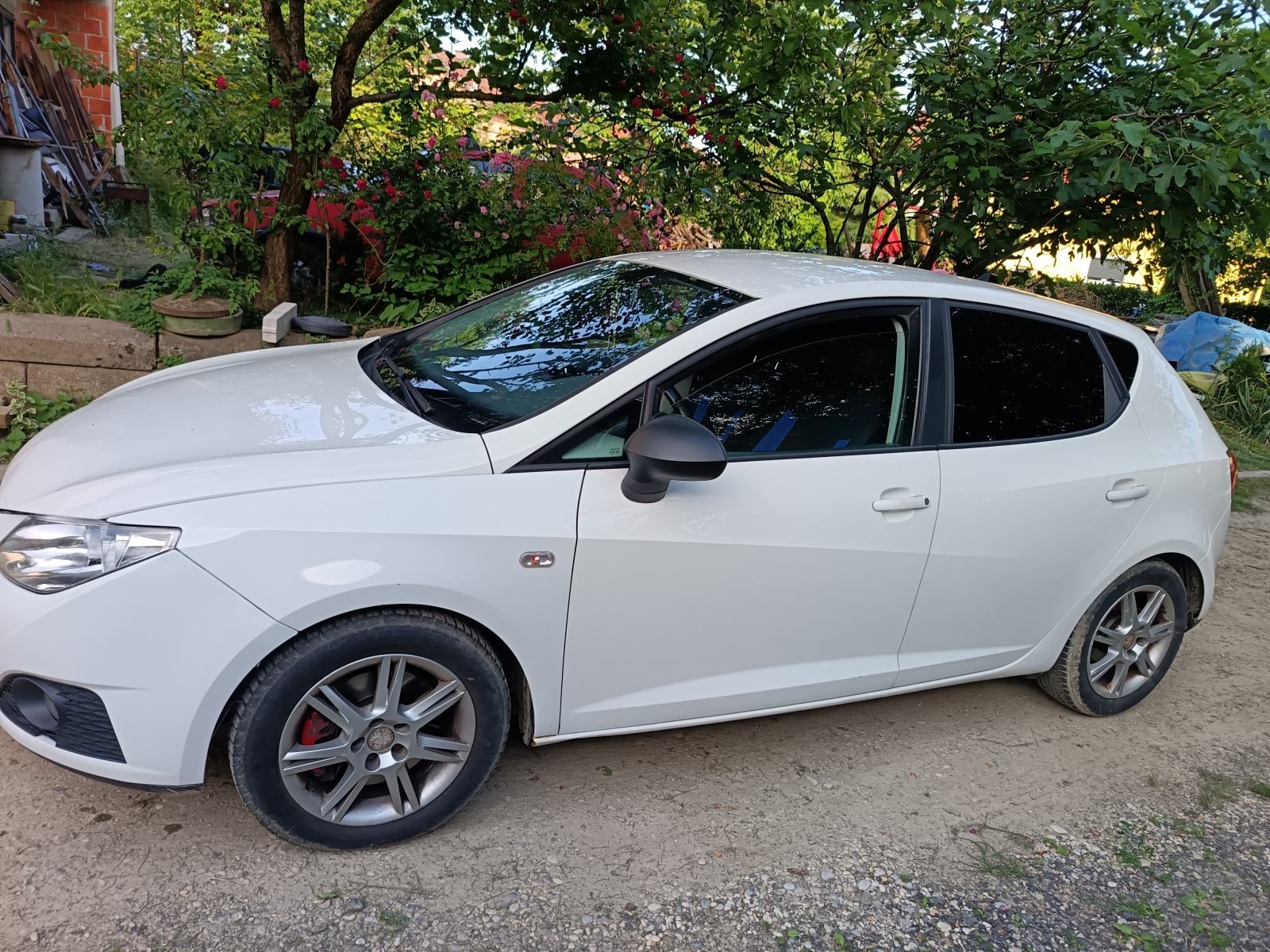 Seat Ibiza 1,9 TDI, pogled izvana - slika 5
