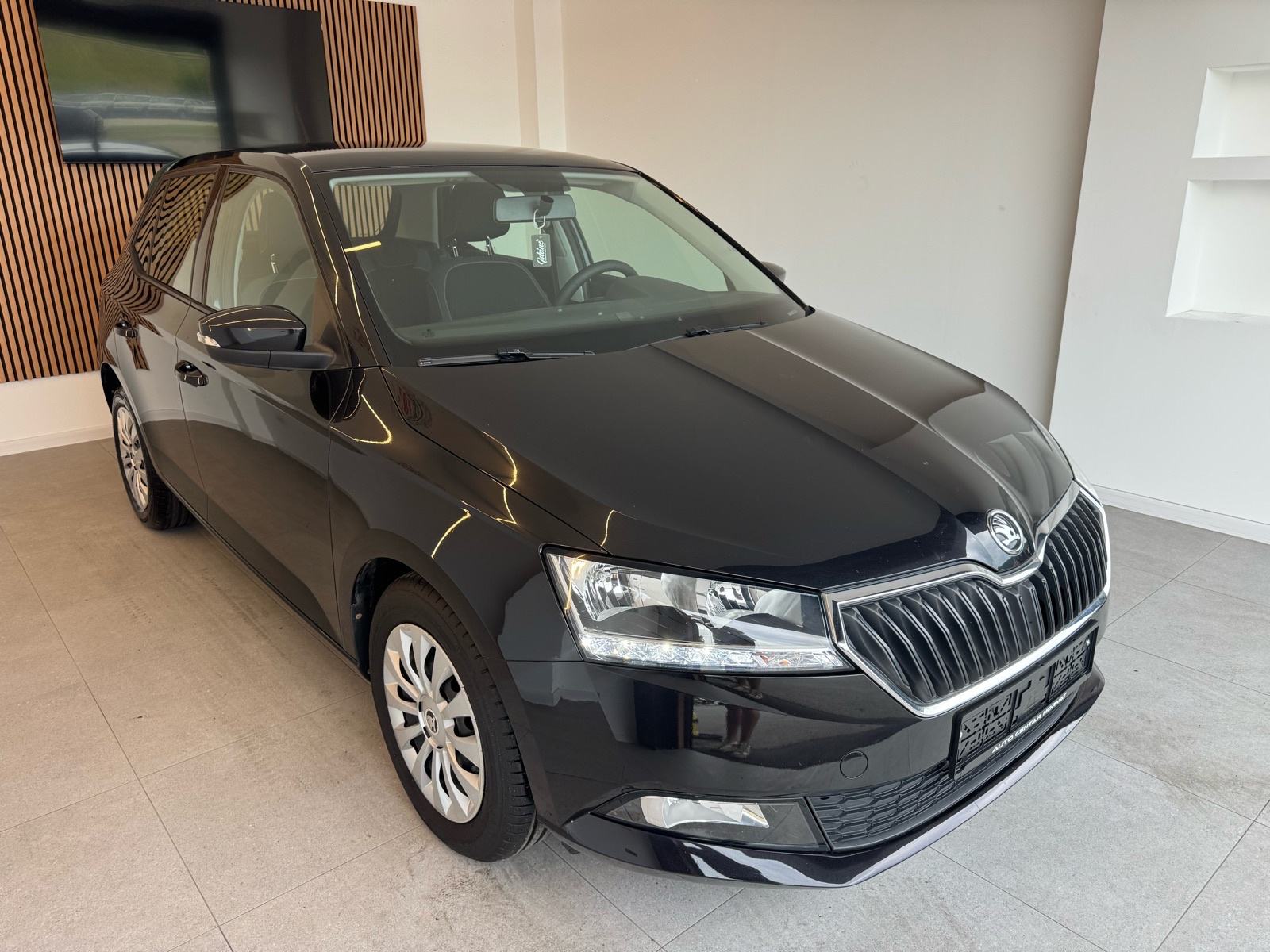 Škoda Fabia 1,0 TSI Ambition 2018.; Nije uvoz; Klima; 5 vrata;..., fotografija 4