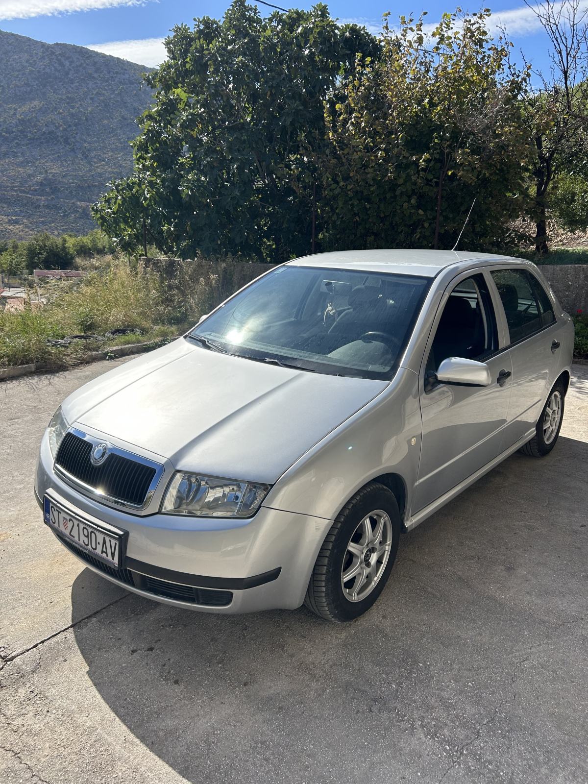 Škoda Fabia 1,2 12V, pogled izvana - slika 1