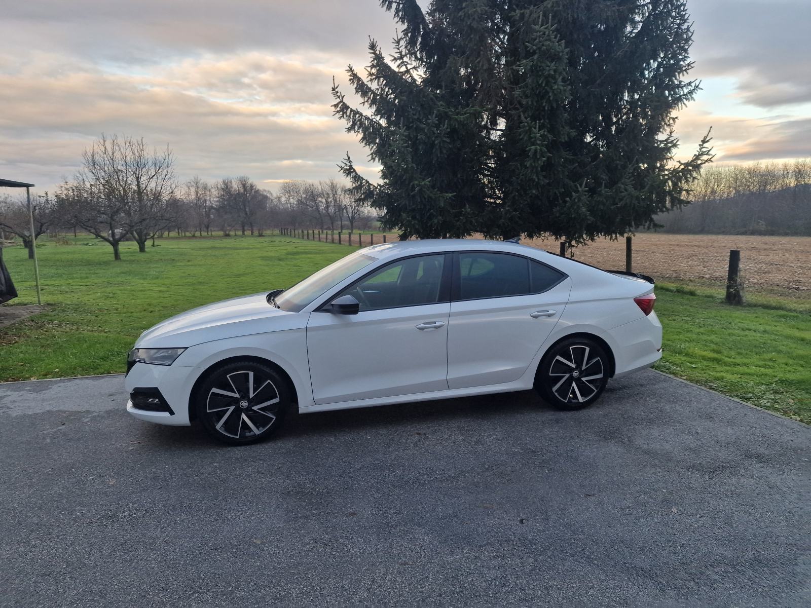 Škoda Octavia 1,5 TSI, fotografija 7