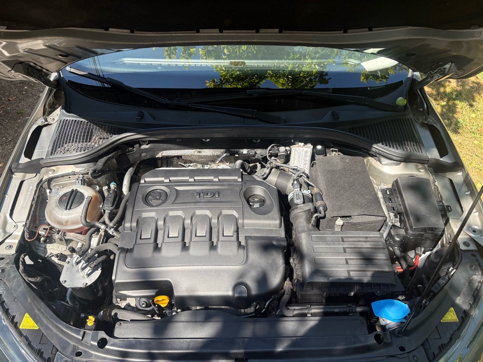 Škoda Octavia 1,6 DSG 2014, fotografija 7