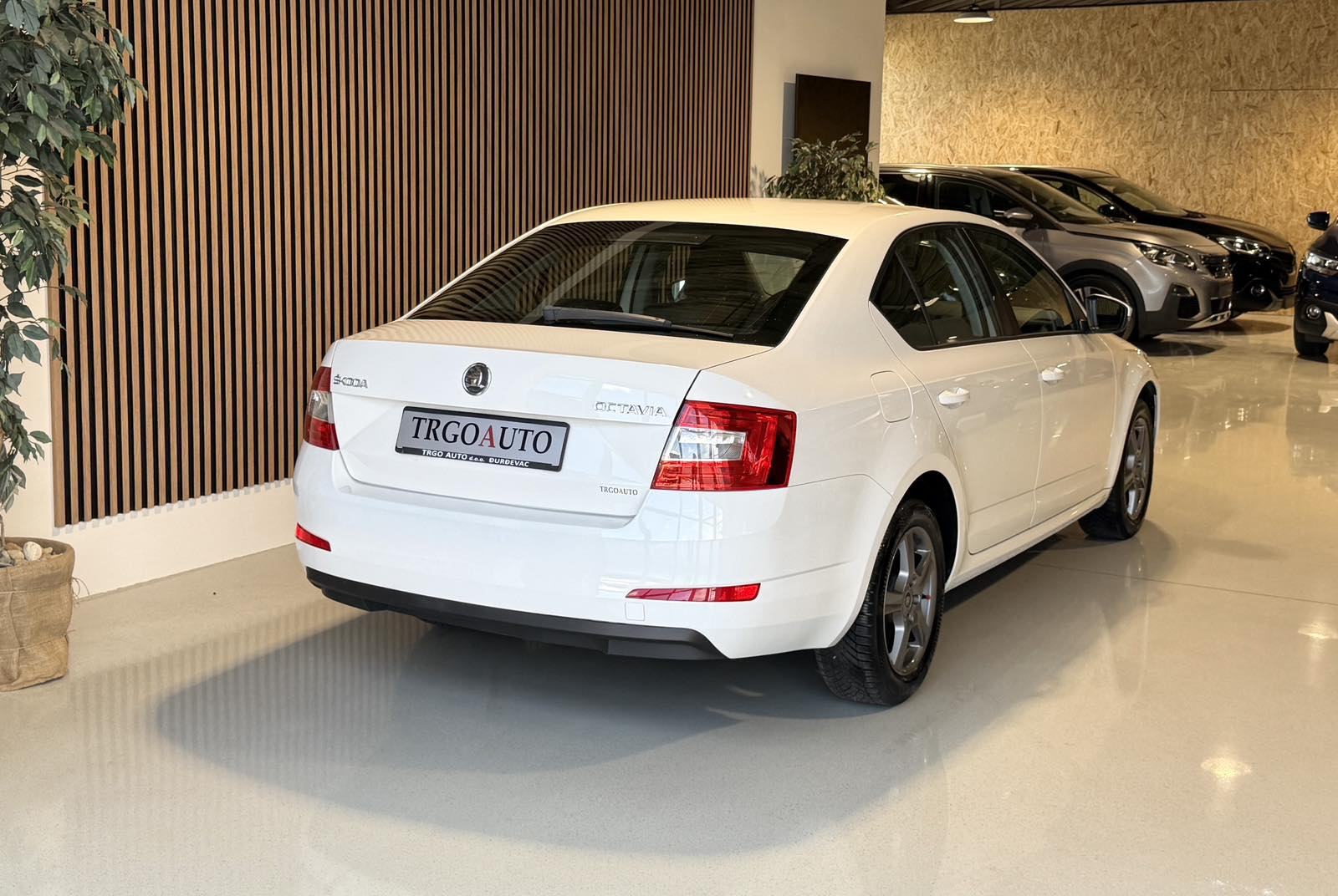Škoda Octavia 1,6 TDI *ALU - KLIMA - 12 MJ JAMSTVO*, fotografija 8