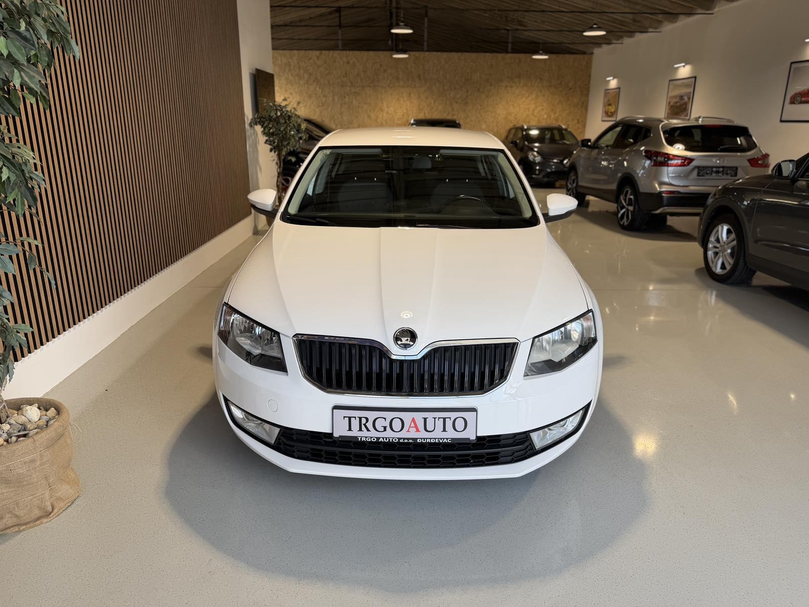 Škoda Octavia 1,6 TDI *ALU - KLIMA - 12 MJ JAMSTVO*, fotografija 2
