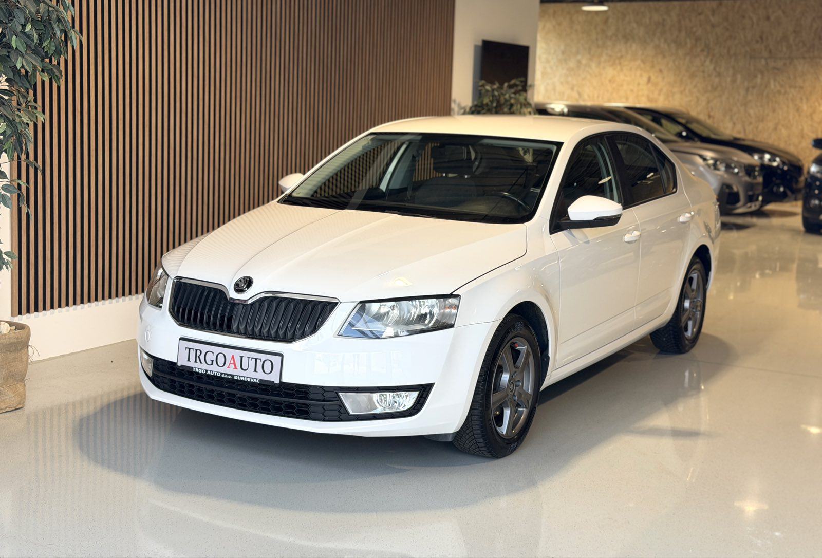 Škoda Octavia 1,6 TDI *ALU - KLIMA - 12 MJ JAMSTVO*, fotografija 3