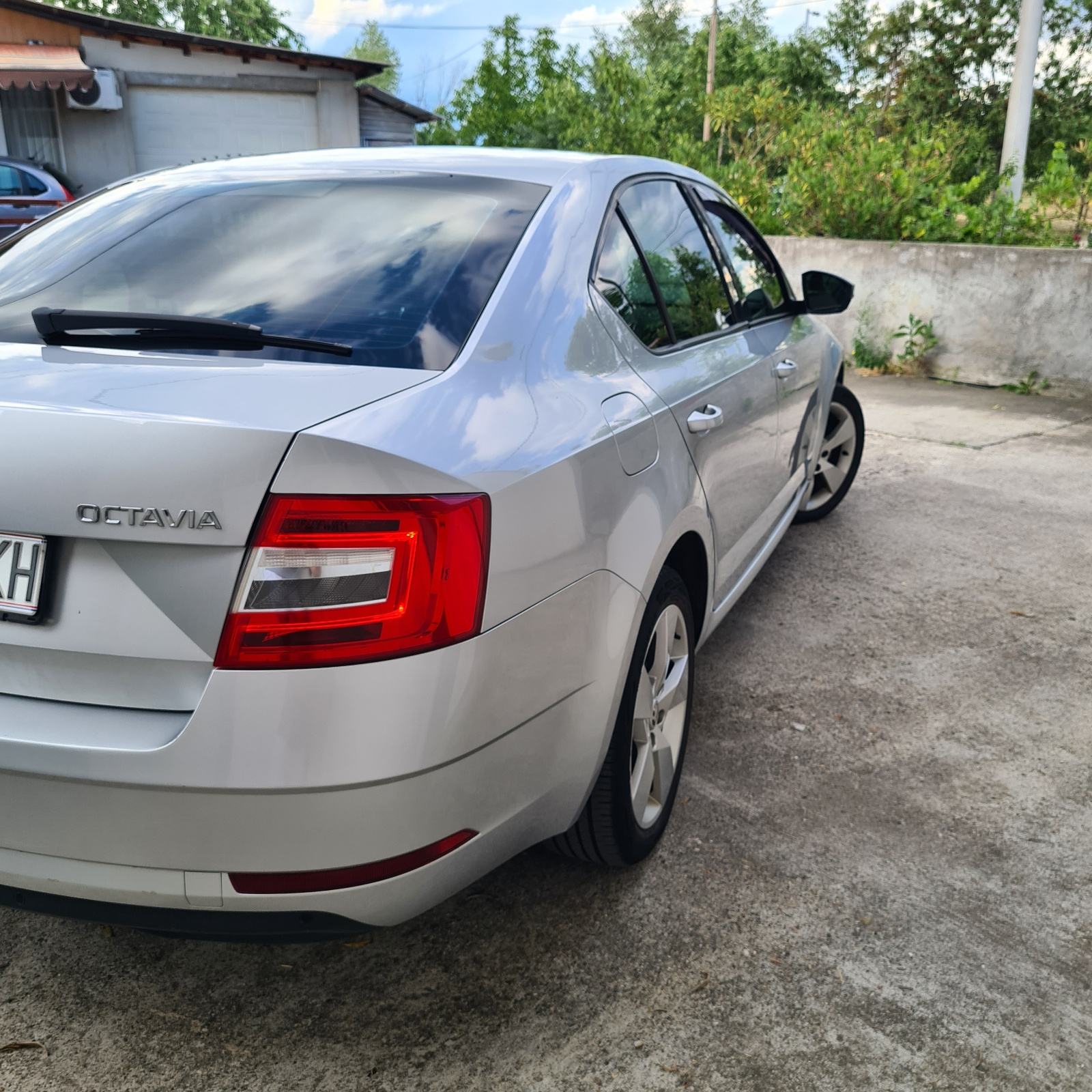 Škoda Octavia 1,6 TDI DSG automatik, fotografija 3