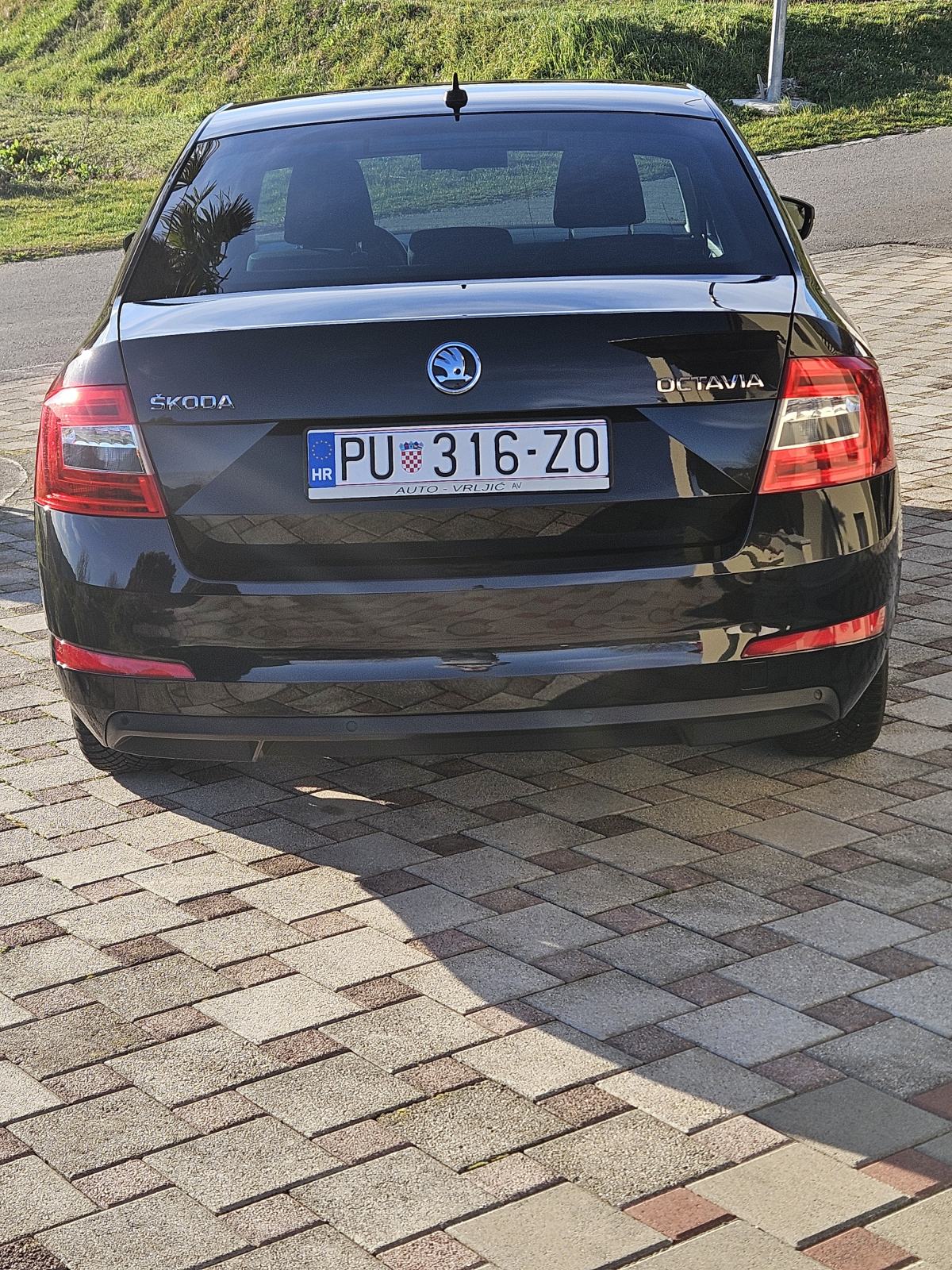 Škoda Octavia 1,6 TDI JOY, fotografija 7