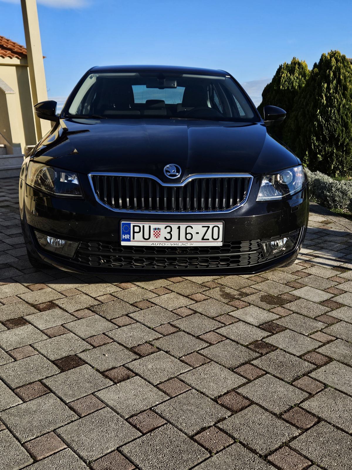 Škoda Octavia 1,6 TDI JOY, fotografija 6
