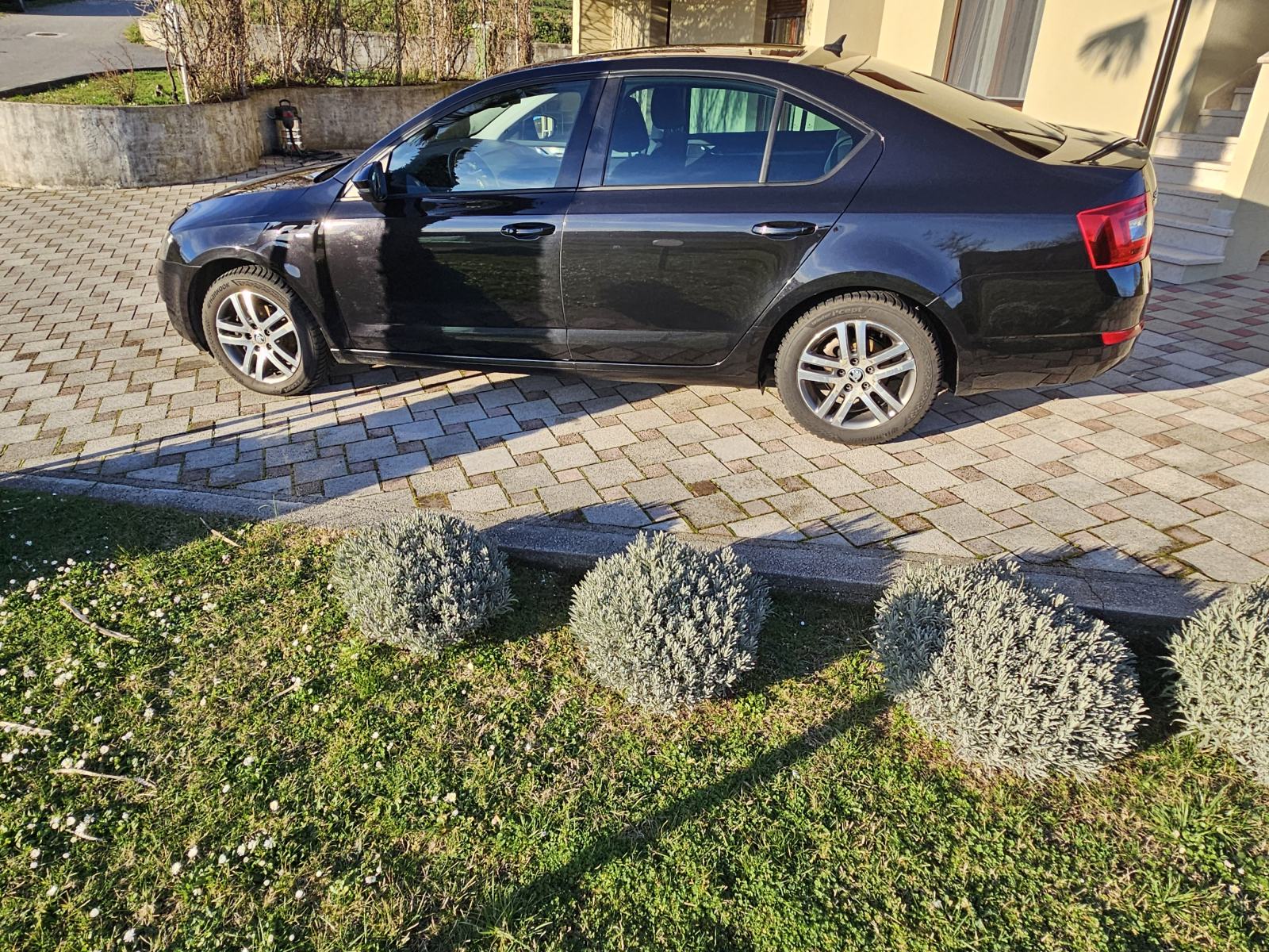 Škoda Octavia 1,6 TDI JOY, fotografija 4