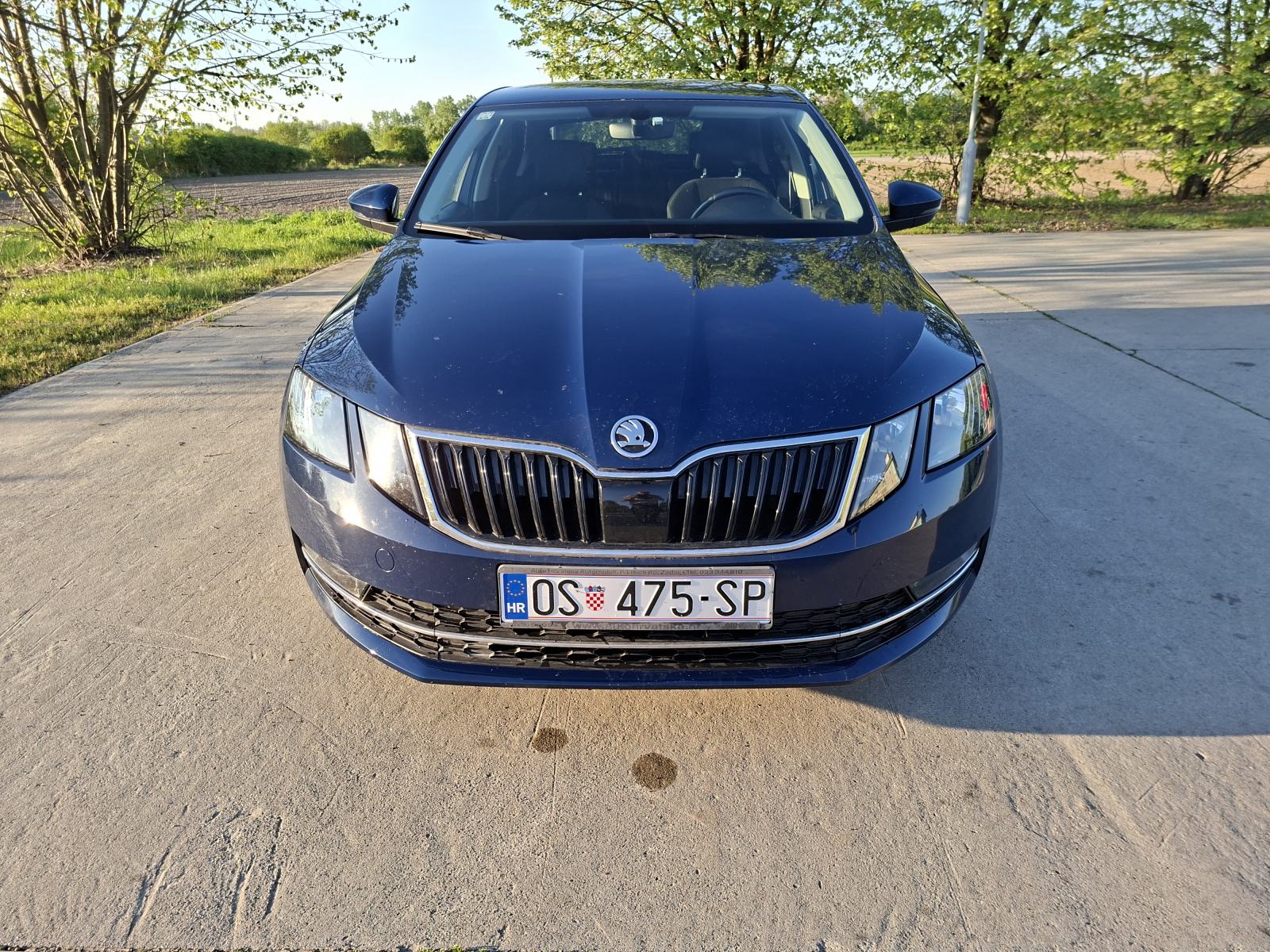 Škoda Octavia 1.6 TDI, reg 08/2027., HR vozilo, VLASNIK u prometnoj, fotografija 2
