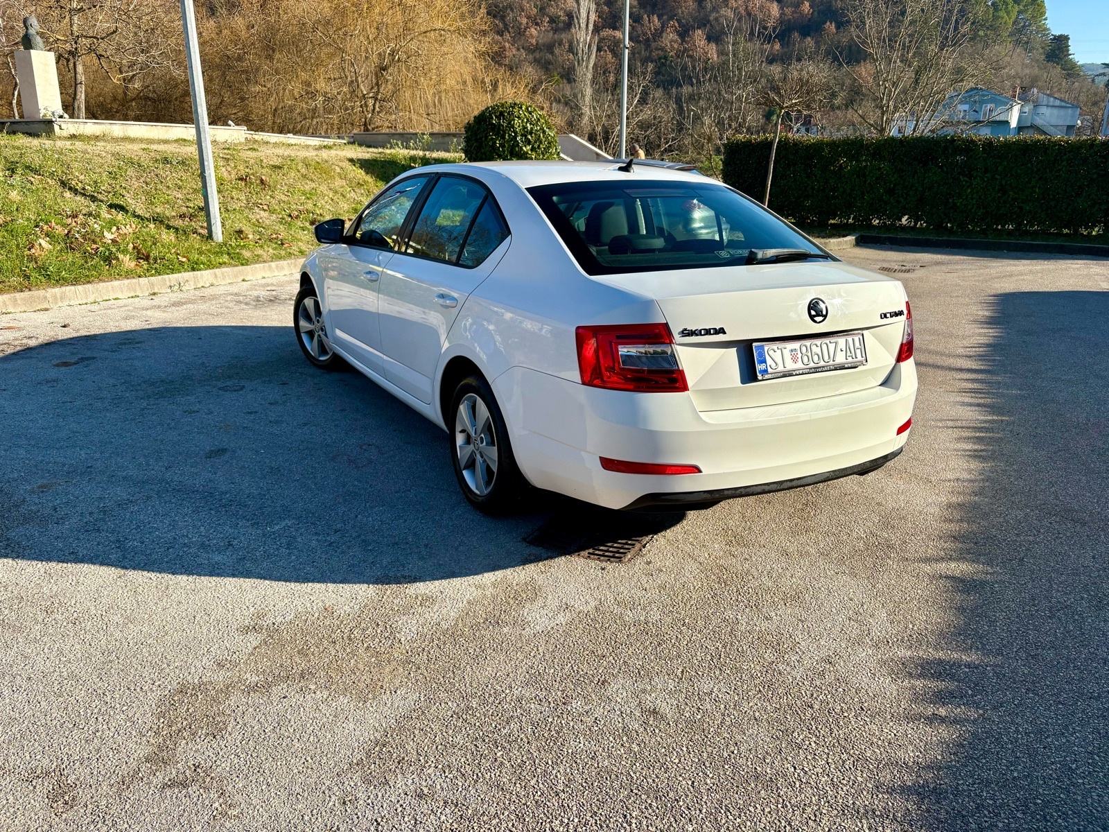 2013 Škoda Octavia 1,6 TDI, Elegance, fotografija 2
