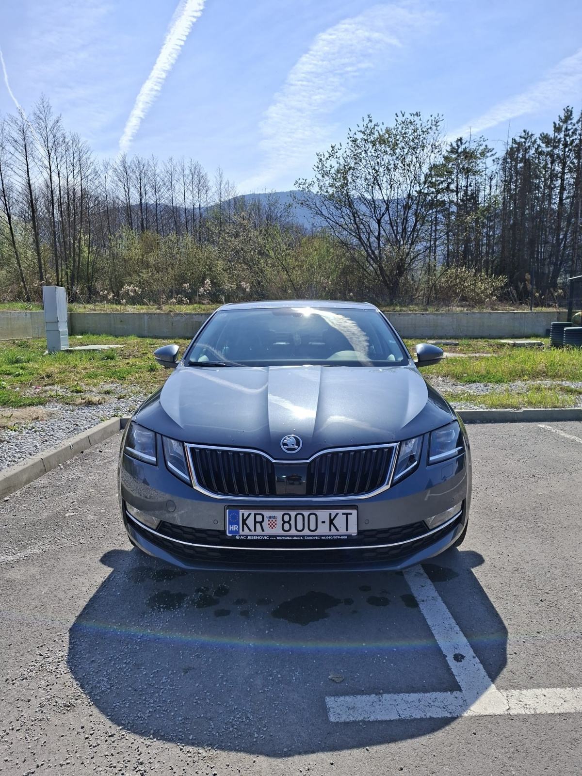 ŠKODA OCTAVIA 1.6 TDI STYLE 85KW TOP STANJE,PRVI VLASNIK, fotografija 4