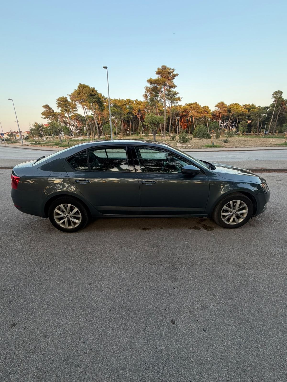 Škoda Octavia 1,6 TDI, fotografija 8
