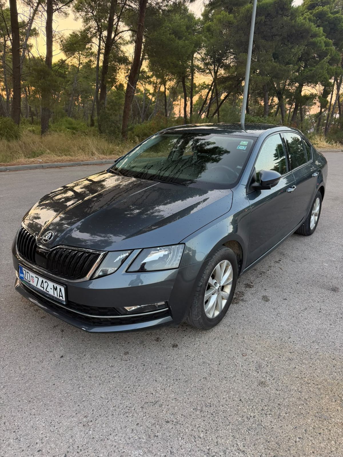 Škoda Octavia 1,6 TDI, fotografija 6