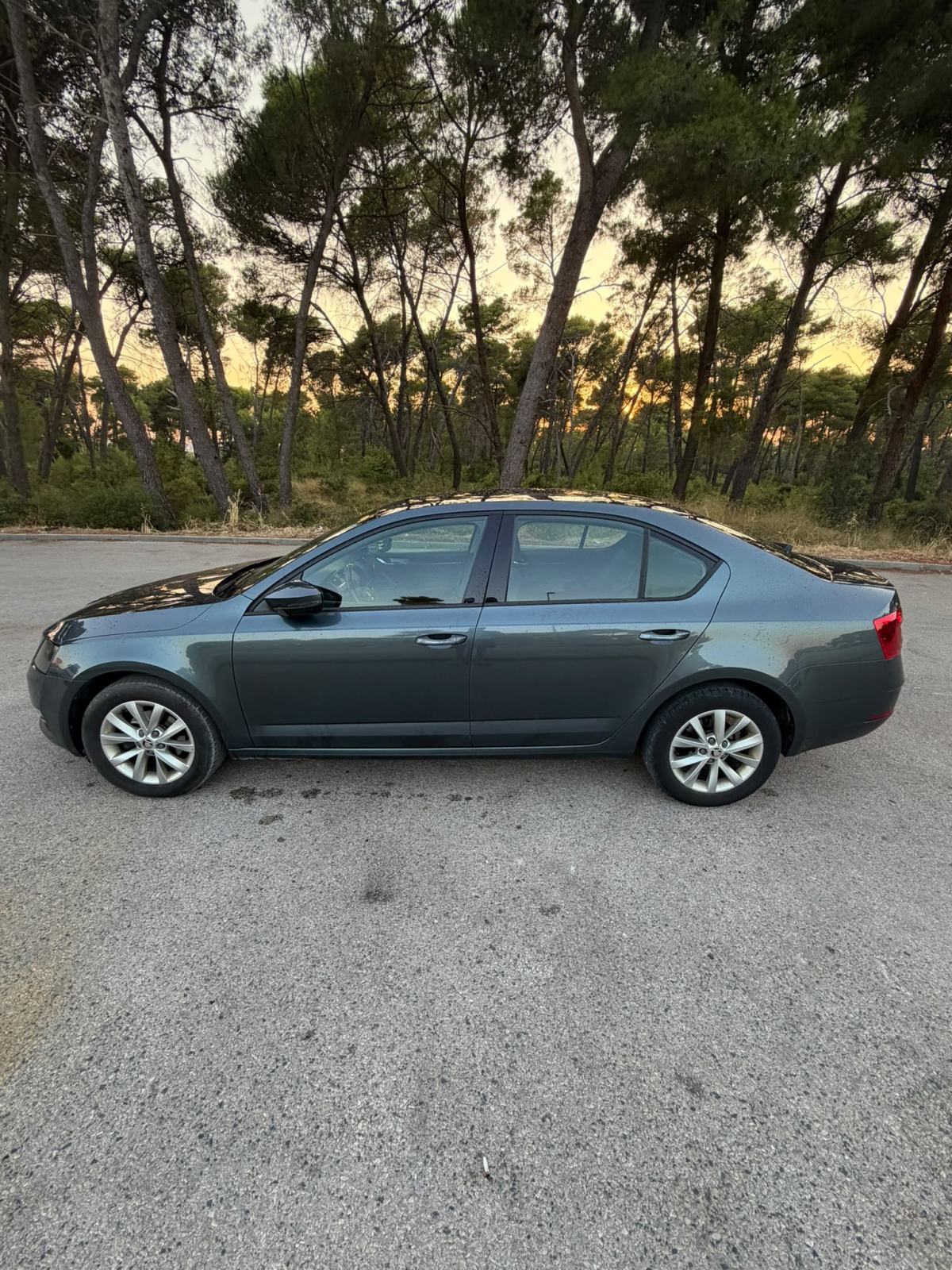 Škoda Octavia 1,6 TDI, fotografija 7