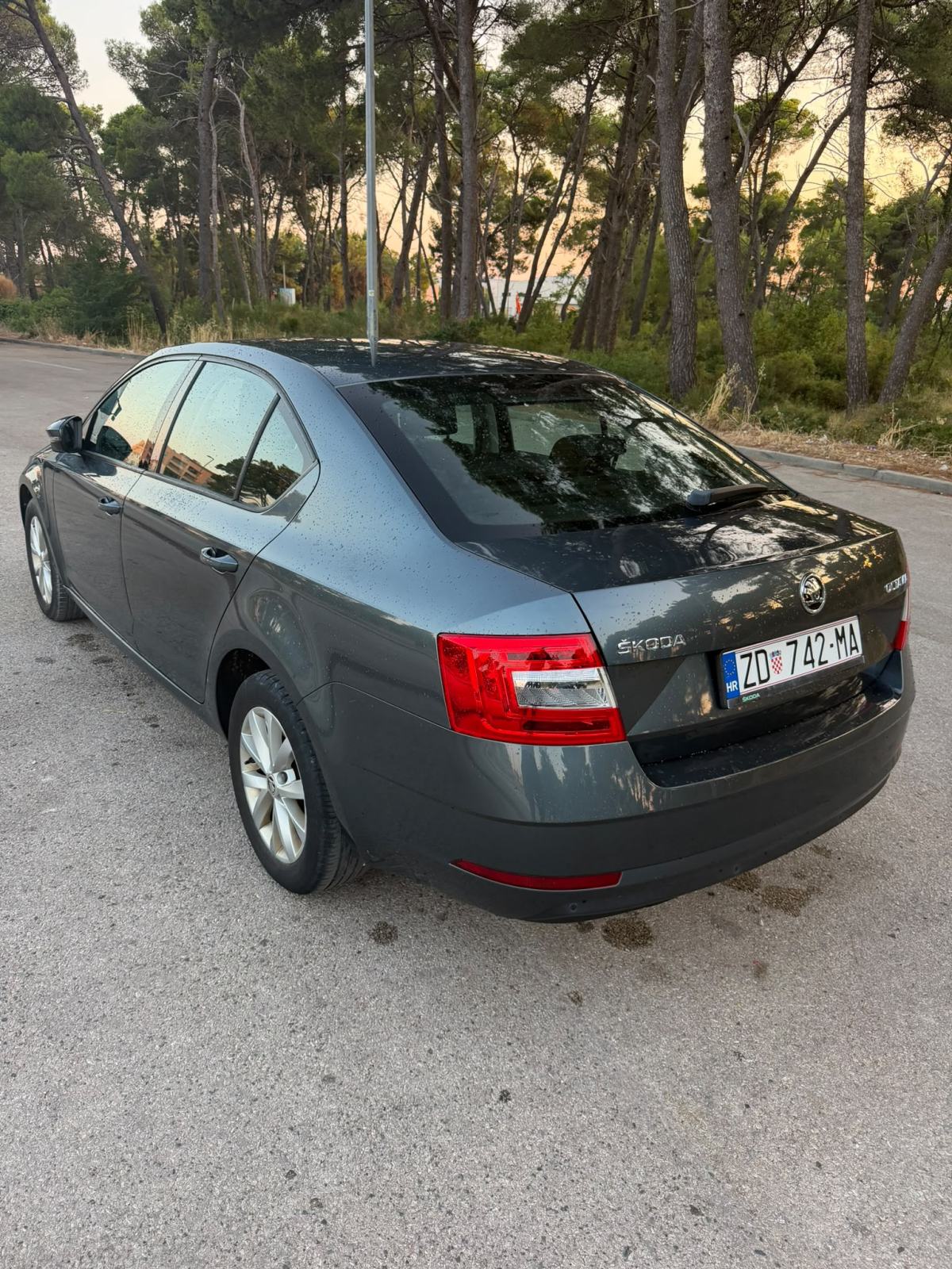 Škoda Octavia 1,6 TDI, fotografija 3