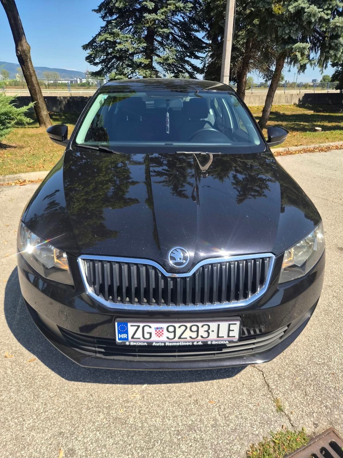 Škoda Octavia 1,6 TDI, fotografija 5