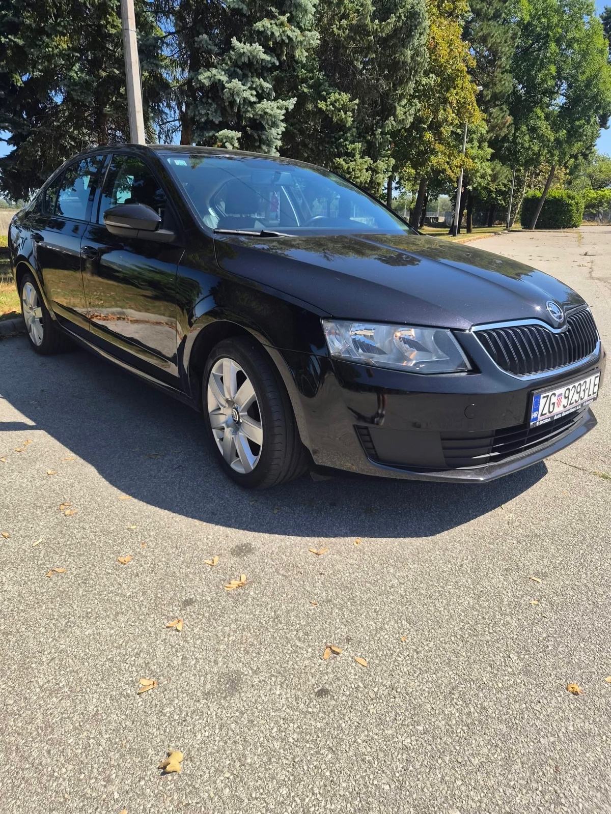 Škoda Octavia 1,6 TDI, fotografija 4
