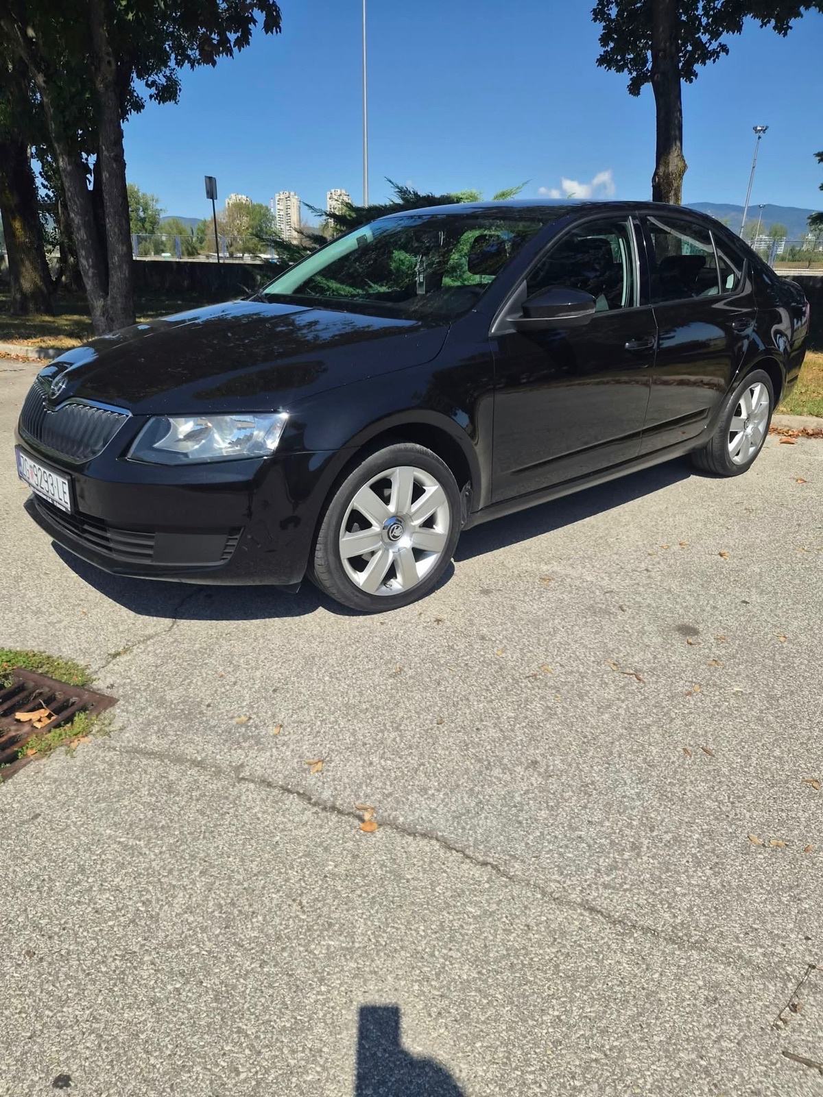Škoda Octavia 1,6 TDI, fotografija 7