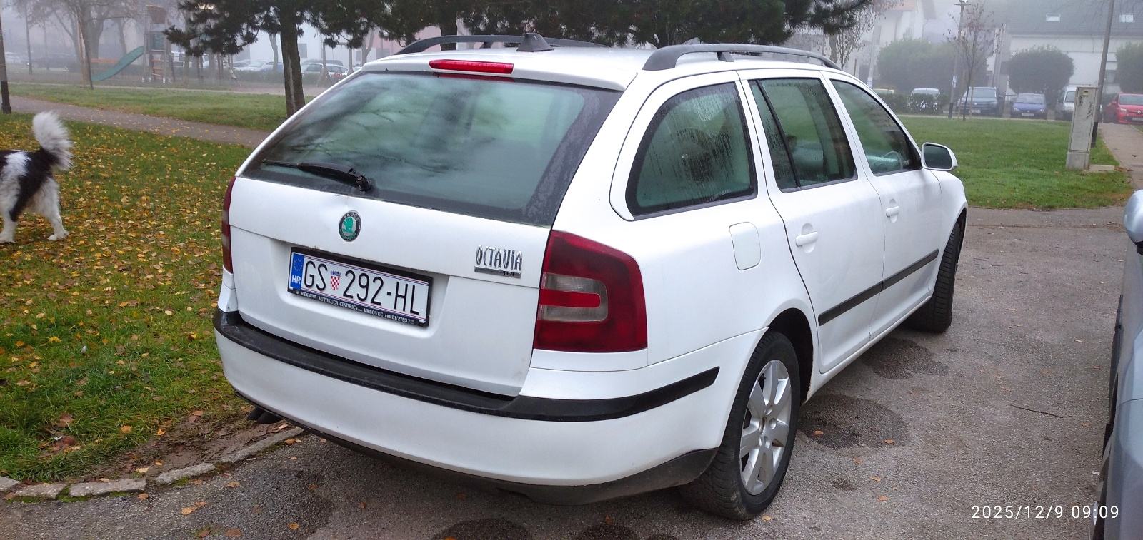 Škoda Octavia 1,9 TDI reg. do 02/27, fotografija 3