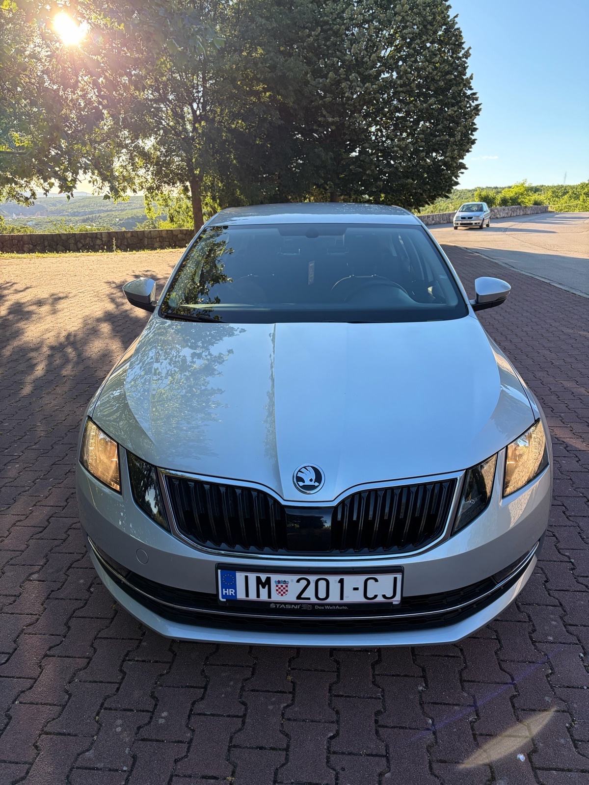 Škoda Octavia 2,0 TDI automatik, fotografija 2