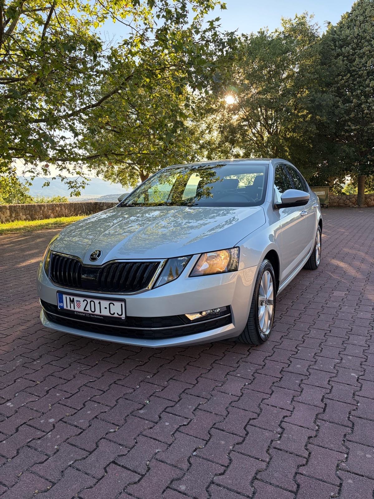 Škoda Octavia 2,0 TDI automatik, fotografija 3