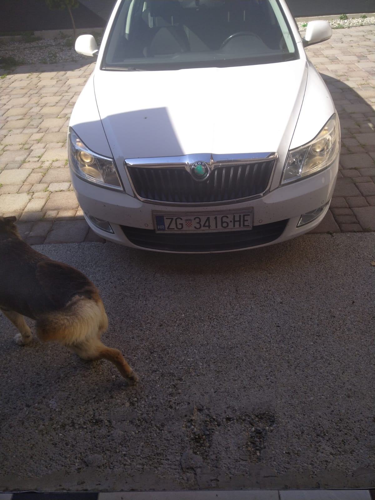 Škoda Octavia 2,0 TDI automatik, fotografija 3