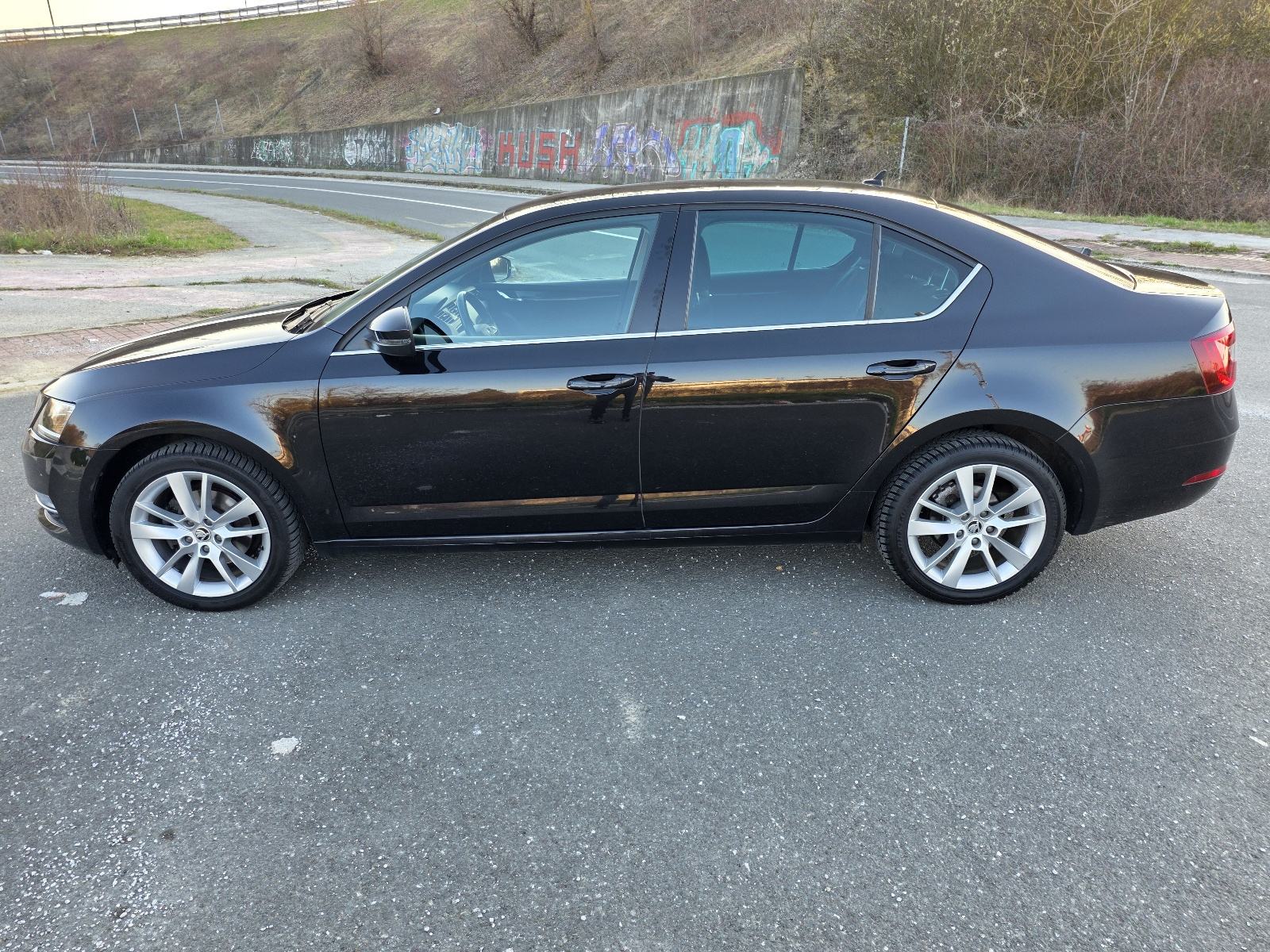 Škoda Octavia 2,0 TDI DSG,2019 god,190000 km,Servisna,Reg 12/2026,Navi, fotografija 5
