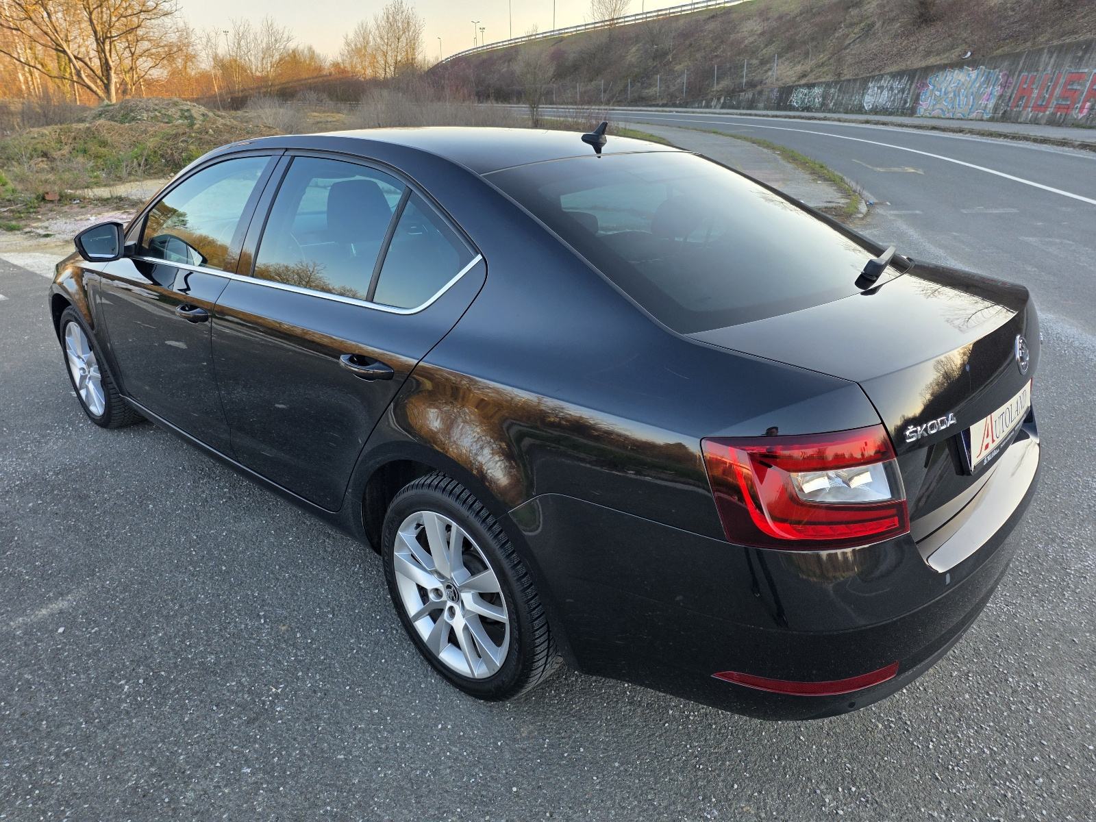 Škoda Octavia 2,0 TDI DSG,2019 god,190000 km,Servisna,Reg 12/2026,Navi, fotografija 9