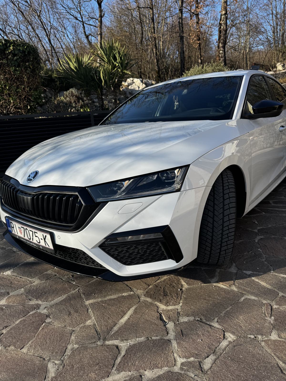 Škoda Octavia RS 2.0 TDI DSG 200 KS | 2021. | Matrix LED | ACC |, fotografija 12