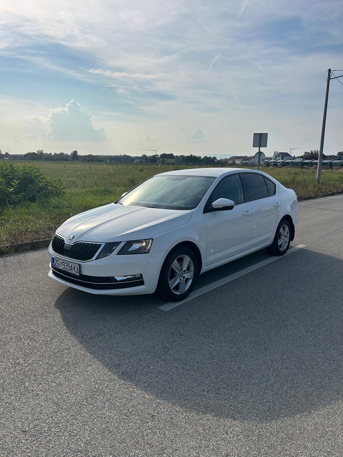 Škoda Octavia 2,0 TDI Style, pogled izvana - slika 1