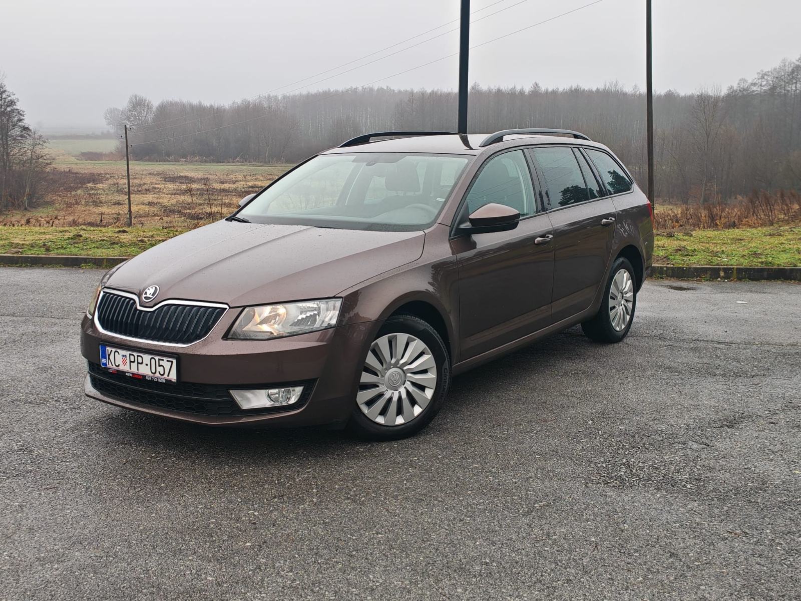 Škoda Octavia 4x4 1,6 TDI 6. Brzina, pogled izvana - slika 1