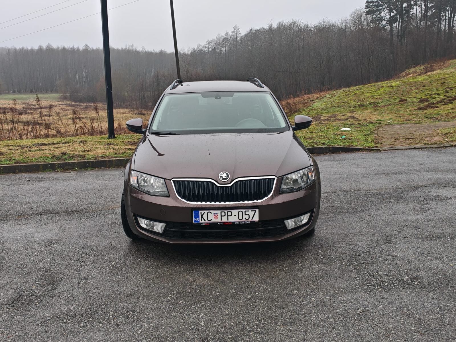 Škoda Octavia 4x4 1,6 TDI 6. Brzina, pogled izvana - slika 5