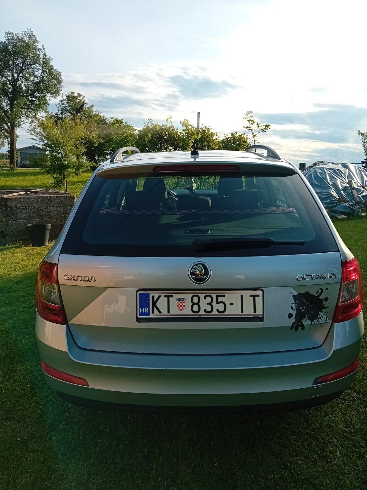 Škoda Octavia Combi 2,0 TDI, fotografija 3