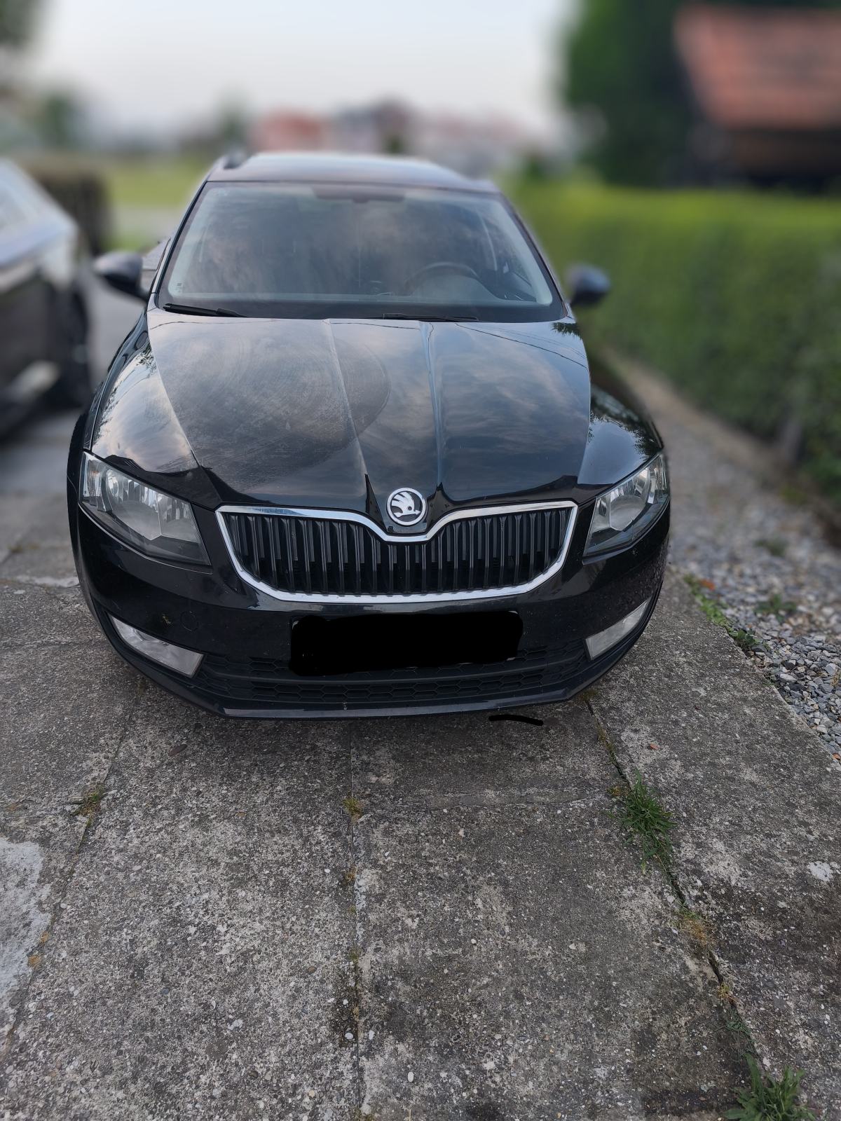 Škoda Octavia Combi 2,0 TDI, fotografija 8