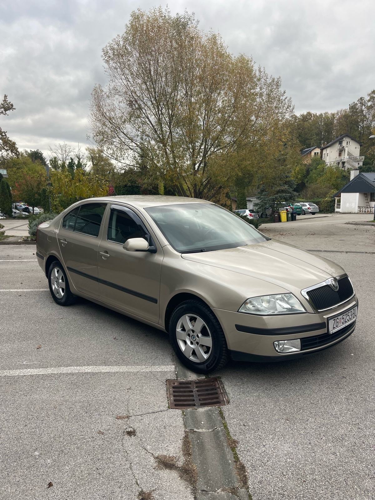Skoda Octavia II. Elegance, 2006. Prvi vlasnik, servisna knjiga 220.00, pogled izvana - slika 1