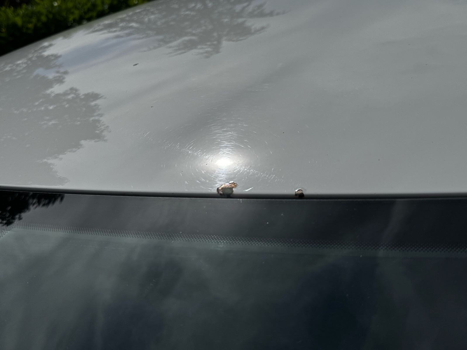 Škoda Rapid 1,0 TSI, fotografija 17